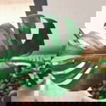 Rina Mustika profile icon