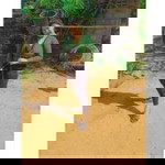 ใบ เตย profile icon