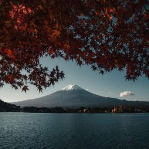 mama jie profile icon