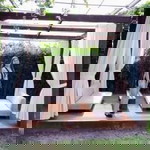 Carmi Jessica Ocampo profile icon