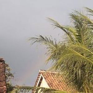 Mamine Ziya profile icon