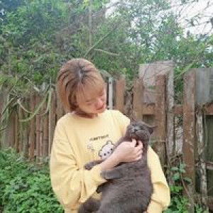 Nga Phan profile icon