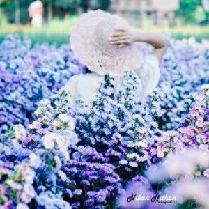 Nikan Yoonai profile icon