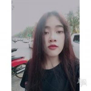 Gerbera Flower profile icon