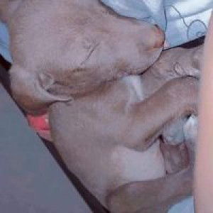 Elocin Geronimo profile icon