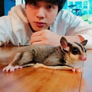 Gita Savitri profile icon