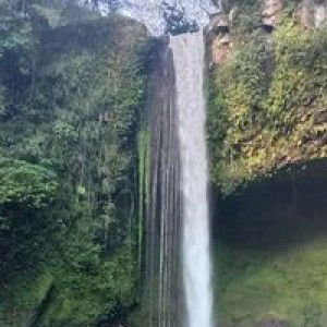 erica wissy cabanatan profile icon