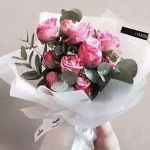 Hazirah Daut profile icon