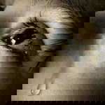 Liam Apares profile icon