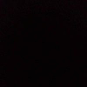 Acep X Gaming profile icon