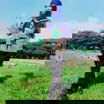 sri safitri profile icon