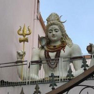 Jesh Jesh profile icon