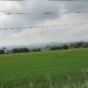 Atqol Atqiya profile icon