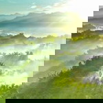 Hasriani profile icon