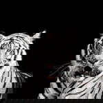 Almahbub Lilmuzdhalif profile icon