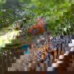 Arisa Pongsopon profile icon