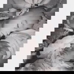 Rose D'avril profile icon