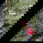 Yulia Sandra profile icon