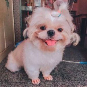 Minty Wimon profile icon