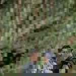 Shinta Nms profile icon