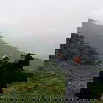 Yuliyana Dewi profile icon