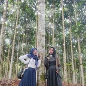 Lina Alluvia profile icon