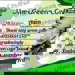 Dewie Umi Green Coffe profile icon