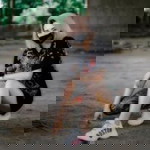 Chanaporn Phuyu profile icon