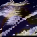 Minalyn Rejano Raminto profile icon