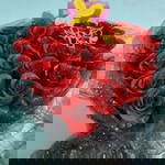 Hồng Hạnh profile icon