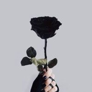 Nurhajaini profile icon