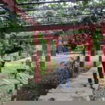 EnungNurlaila profile icon