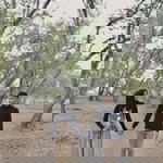 Aulannisa Handayani profile icon