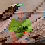 สโรชา ทุมา profile icon