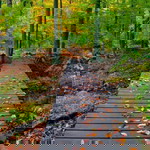 Lonely Lovely profile icon