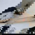 Vo Viioly profile icon