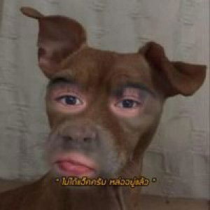 เอิร์น 'นน profile icon