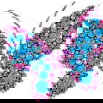 Selly Riana profile icon