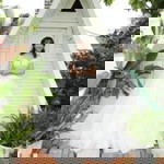 Lê Thị Tường Dung profile icon