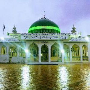 S A M ONLINE B G Business Group profile icon