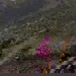 Senandung Rindu profile icon