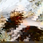 Angelika Montealegre profile icon