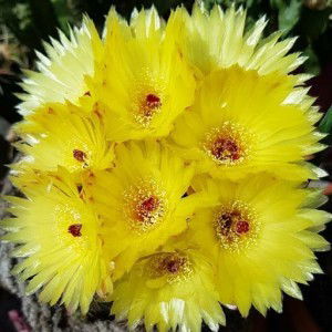 Gita Agusti Liani profile icon