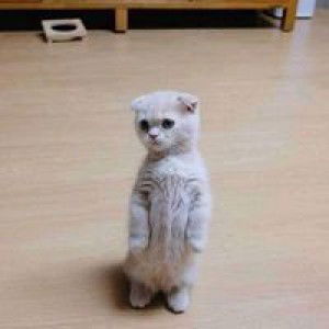 Puspita Sari profile icon