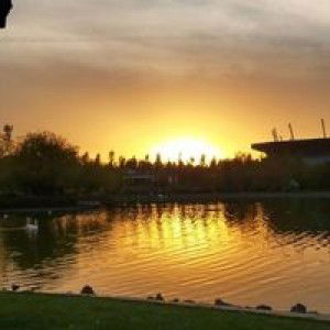 Wida Krisdayanti profile icon