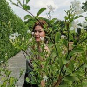 Aila Montoya Tolentino profile icon