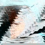 Ana Assaoui profile icon