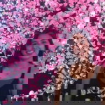 Abigail Sison profile icon