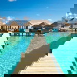 Atiqah Rahim profile icon