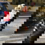 Dekyaa Abeyy profile icon